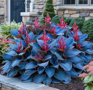 Хоста Грин Фог купить по цене от 669р. в интернет-магазине «Посадика» с доставкой почтой в в Добрянкае и по всей России – [изображение №1].