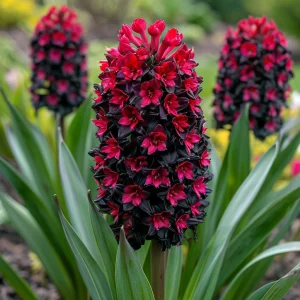 Гиацинт Джем Стоун купить по цене от 2099р. в интернет-магазине «Посадика» с доставкой почтой в в Добрянкае и по всей России – [изображение №1].