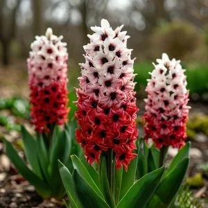 Гиацинт Скай Гарден купить по цене от 2099р. в интернет-магазине «Посадика» с доставкой почтой в в Добрянкае и по всей России – [изображение №1].