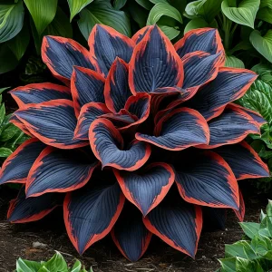 Хоста Солнечный Агат купить по цене от 440р. в интернет-магазине «Посадика» с доставкой почтой в в Добрянкае и по всей России – [изображение №1].